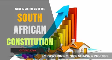 South Africa's Constitution: Section 25 Explained
