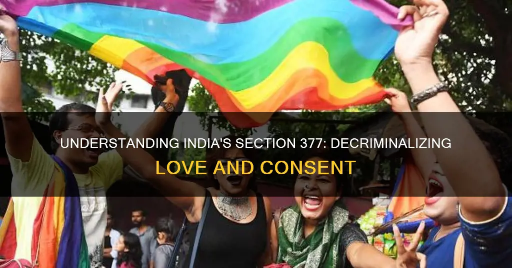 what is section 377 in indian constitution
