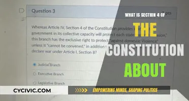 Understanding the Constitution's Foundation
