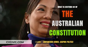 Understanding Australia's Constitution: Section 44 Explained