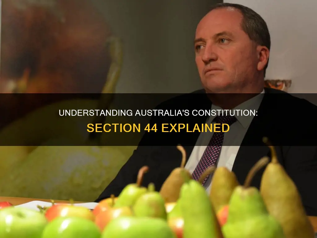 what is section 44 of the australian constitution
