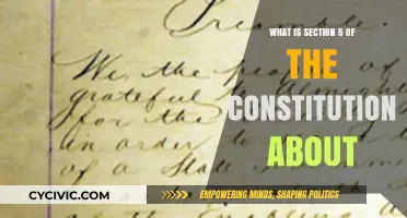 Understanding Constitutional Amendments in Section 5
