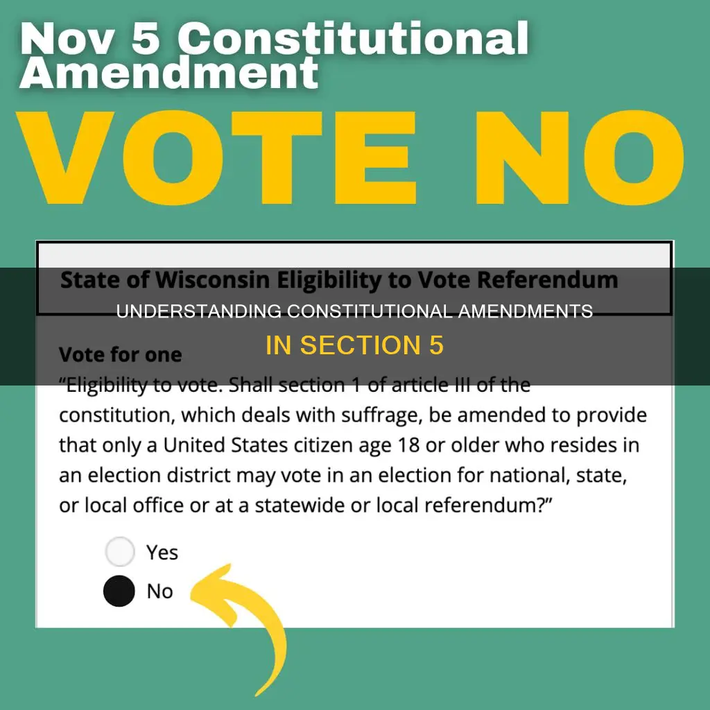 what is section 5 of the constitution about