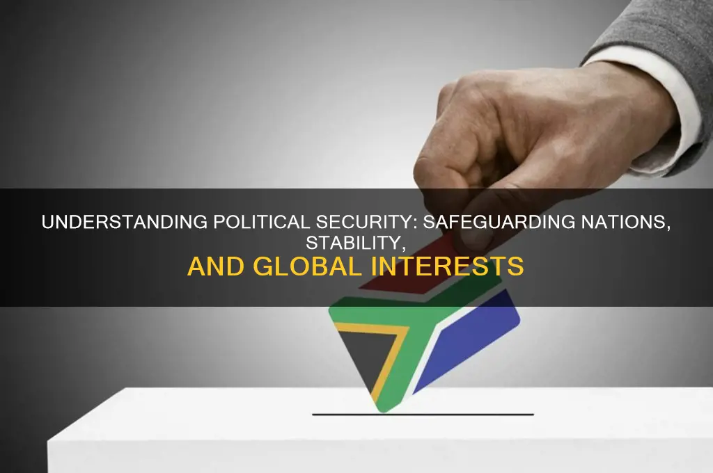 what is security in politics