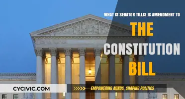 Tillis' Amendment: Constitutional Reform