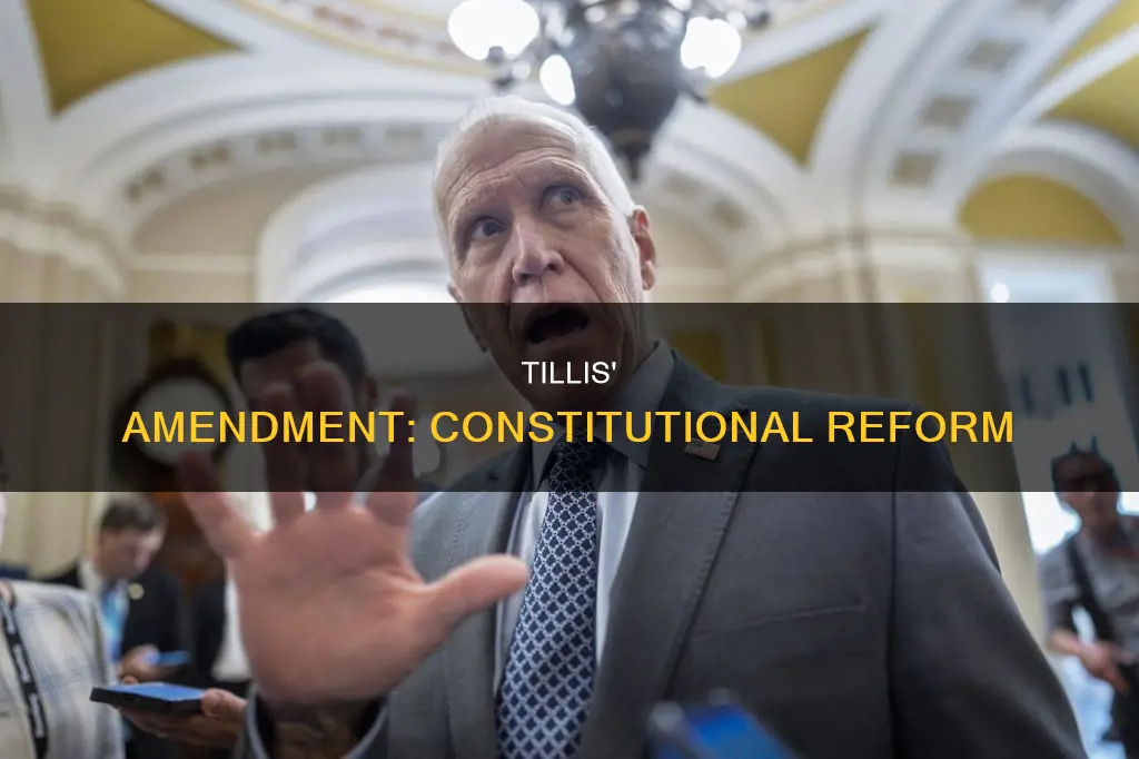 what is senator tillis is amendment to the constitution bill
