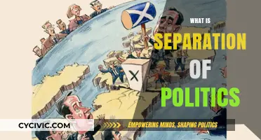 Understanding the Separation of Politics: Principles, Purpose, and Practice