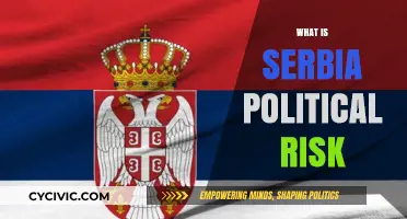 Understanding Serbia's Political Landscape: Risks, Challenges, and Opportunities