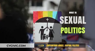 Understanding Sexual Politics: Power, Gender, and Society's Complex Dynamics