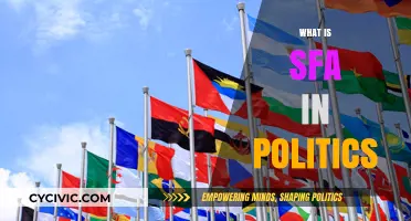 Understanding SFA: Decoding Strategic Foreign Aid in Political Contexts