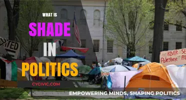 Understanding Political Shade: Tactics, Implications, and Modern Examples