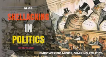 Understanding Shellacking: Decoding Political Defeats and Their Impact