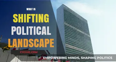 Navigating the Evolving Shifting Political Landscape: Trends, Challenges, and Opportunities