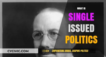 Understanding Single-Issue Politics: Focused Advocacy in a Complex Political Landscape