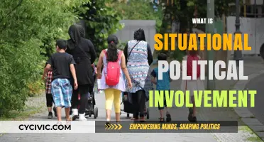 Understanding Situational Political Involvement: Dynamics, Triggers, and Citizen Engagement