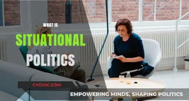 Understanding Situational Politics: Context, Flexibility, and Strategic Decision-Making