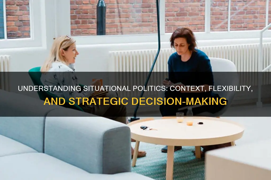 what is situational politics