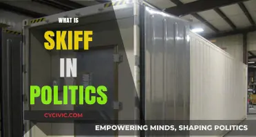Understanding Skiff: Its Role and Impact in Modern Political Strategies