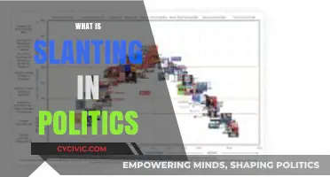 Understanding Political Slanting: Bias, Media Influence, and Public Perception