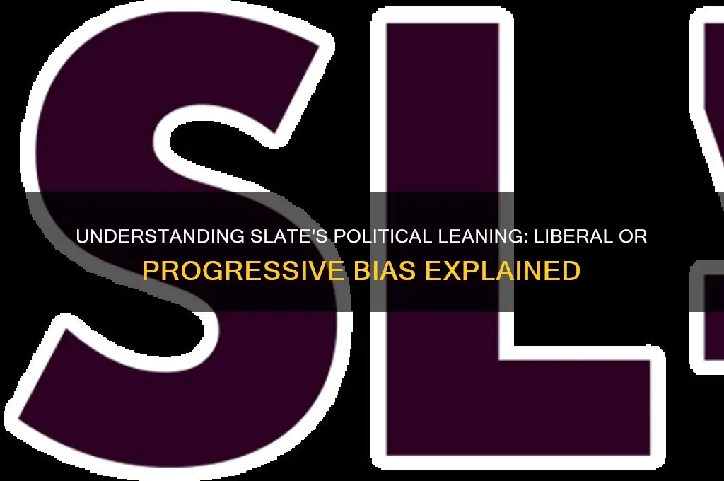 what is slate political leaning