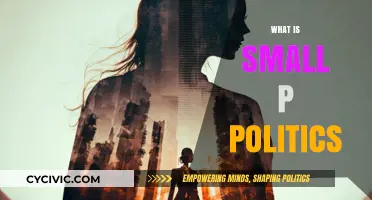 Understanding Small P Politics: Everyday Power Dynamics Explained