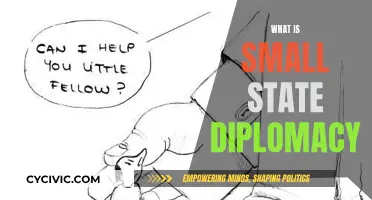 Small States, Big Diplomacy: Strategies for Success