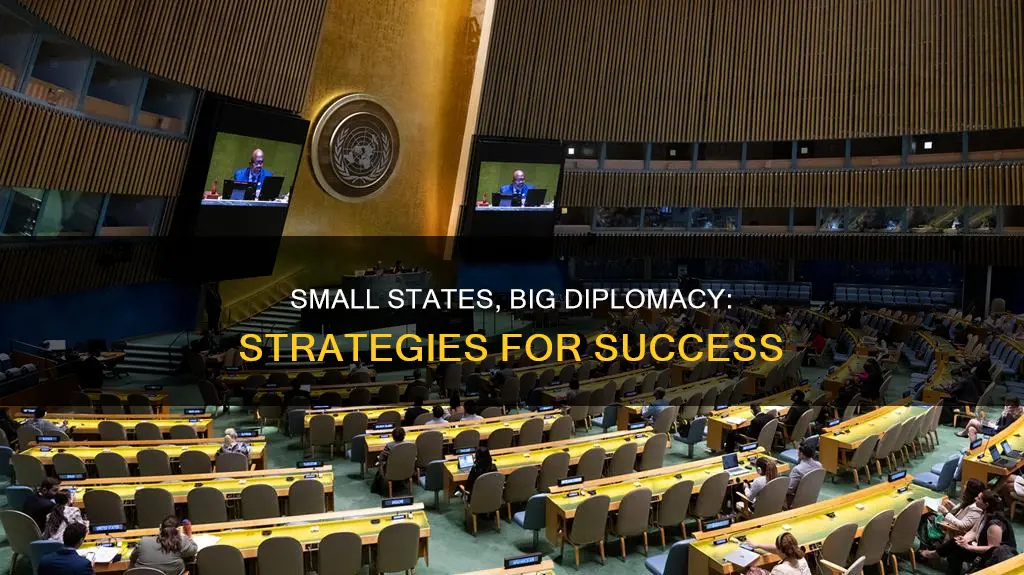 what is small state diplomacy