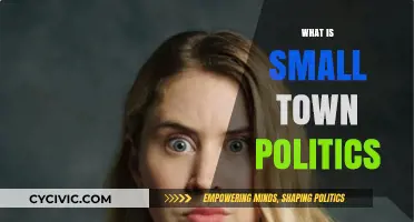 Understanding Small Town Politics: Power, Community, and Local Dynamics Explained