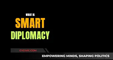 Smart Diplomacy: Effective Strategies for Global Challenges