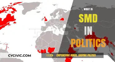 Understanding SMD: The Political Impact of Single-Member Districts