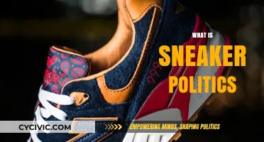 Sneaker Politics Explained: Culture, Brands, and Social Statements