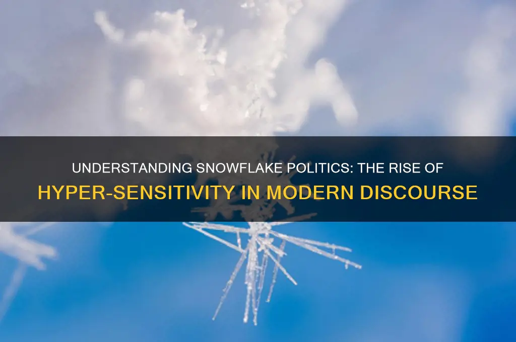 what is snowflake politics