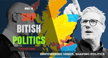 Understanding SNP's Role and Impact in British Politics Explained