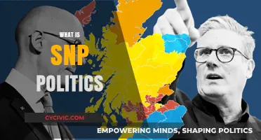 Understanding SNP Politics: Scotland's Nationalist Party Explained Simply