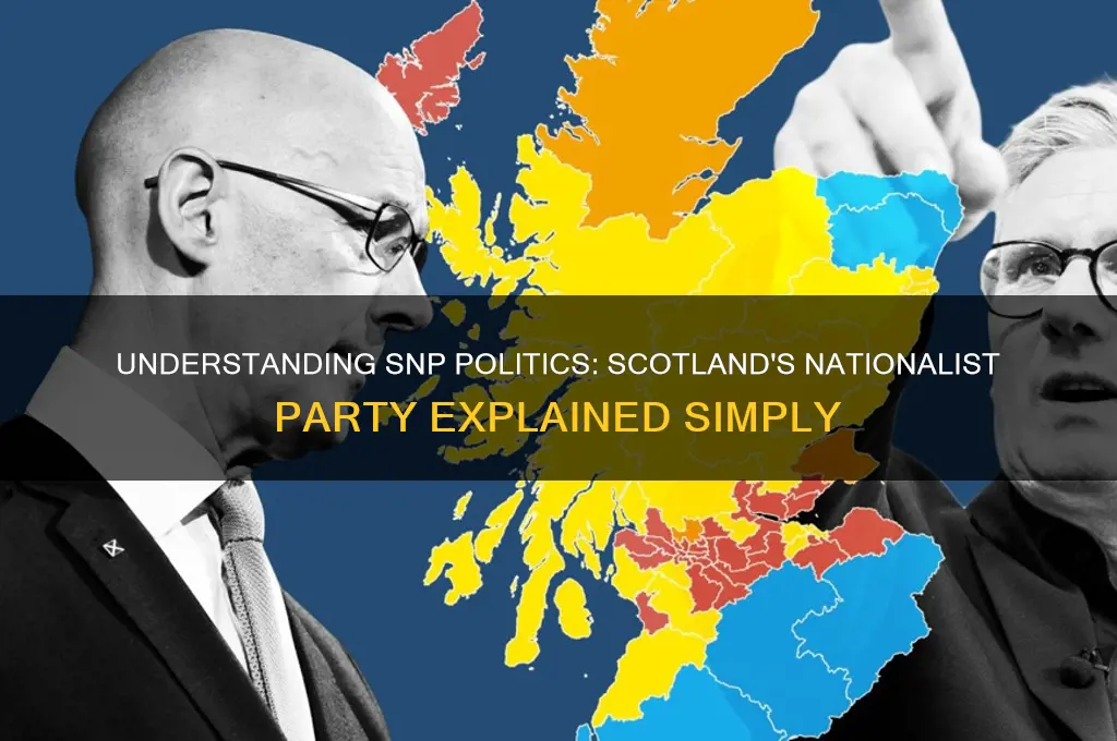 what is snp politics