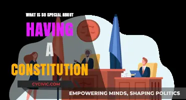 Why Constitutions Matter for Nations