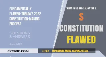 The US Constitution: Flawed but Special