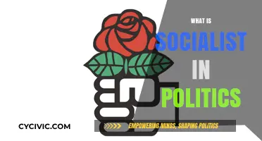 Understanding Socialism: Core Principles and Political Implications Explained