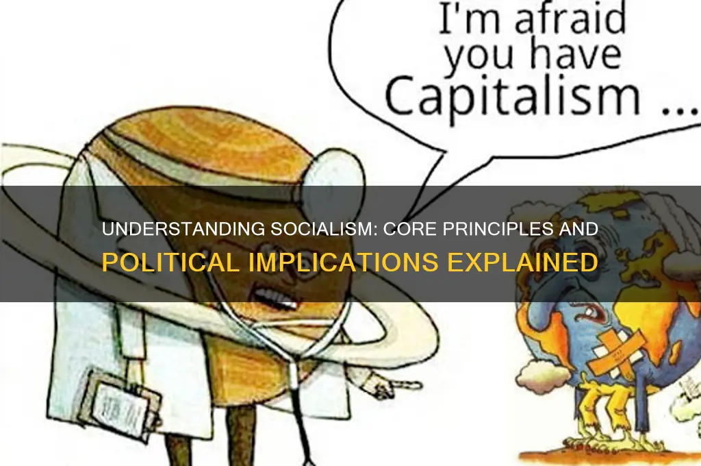 what is socialist in politics