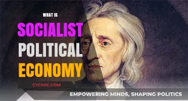 Understanding Socialist Political Economy: Principles, Practices, and Global Impact