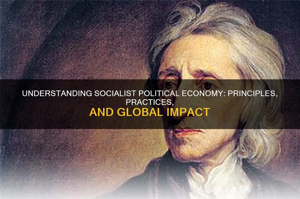 what is socialist political economy