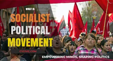 Understanding Socialism: The Core Principles of the Socialist Political Movement