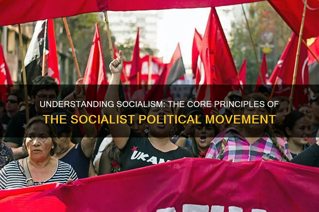 what is socialist political movement