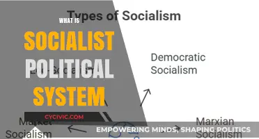 Exploring Socialism: A Comprehensive Guide to the Political System