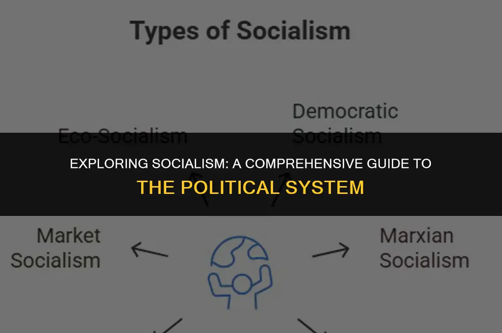 what is socialist political system