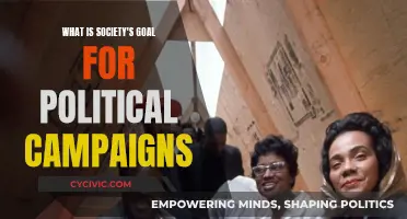 The Political Campaign: Society's Goal and Expectations
