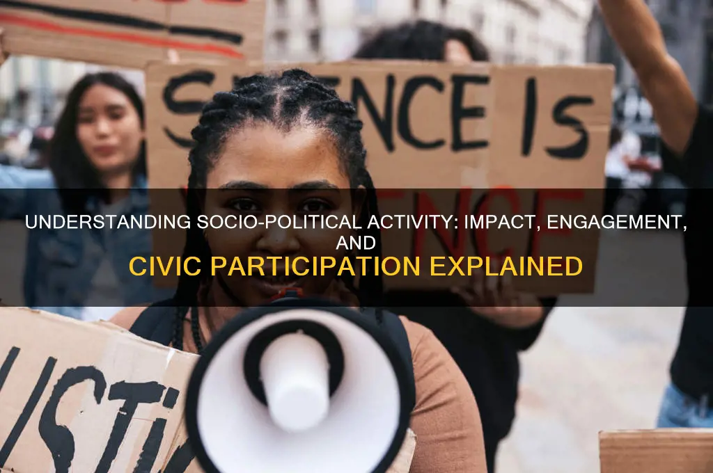 what is socio-political activity