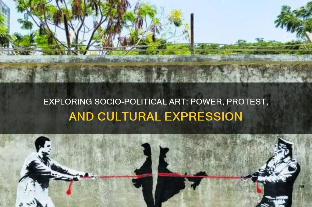 what is socio political art