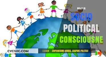 Understanding Socio-Political Consciousness: Awareness, Action, and Social Change