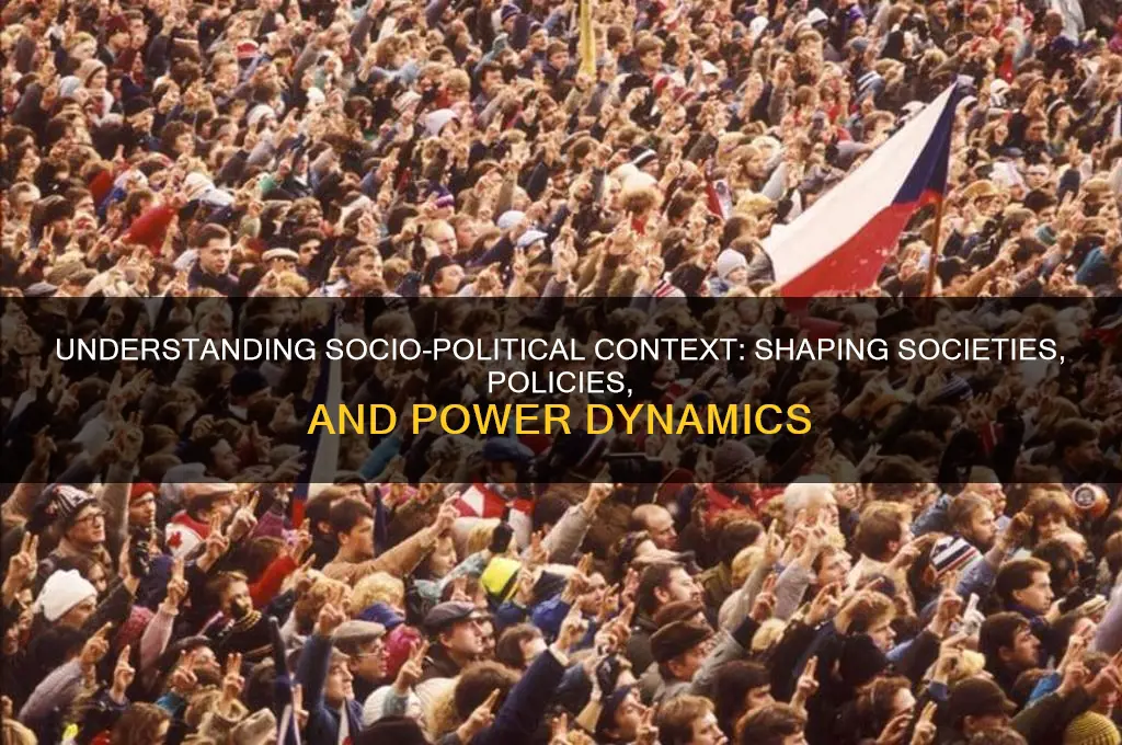what is socio political context